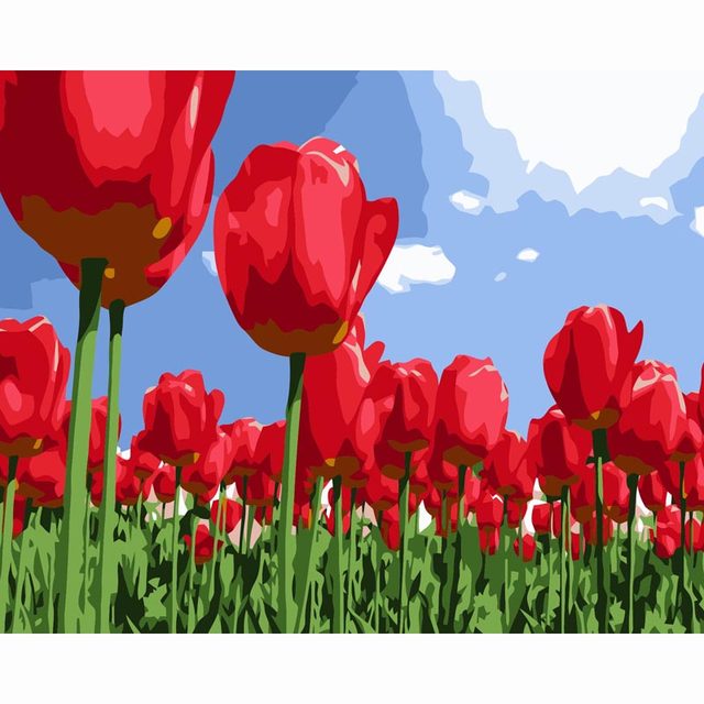 640x640 Online Shop Red Tulip Flowers Digital Oil Painting By Numbers Diy - Red Tulip Painting