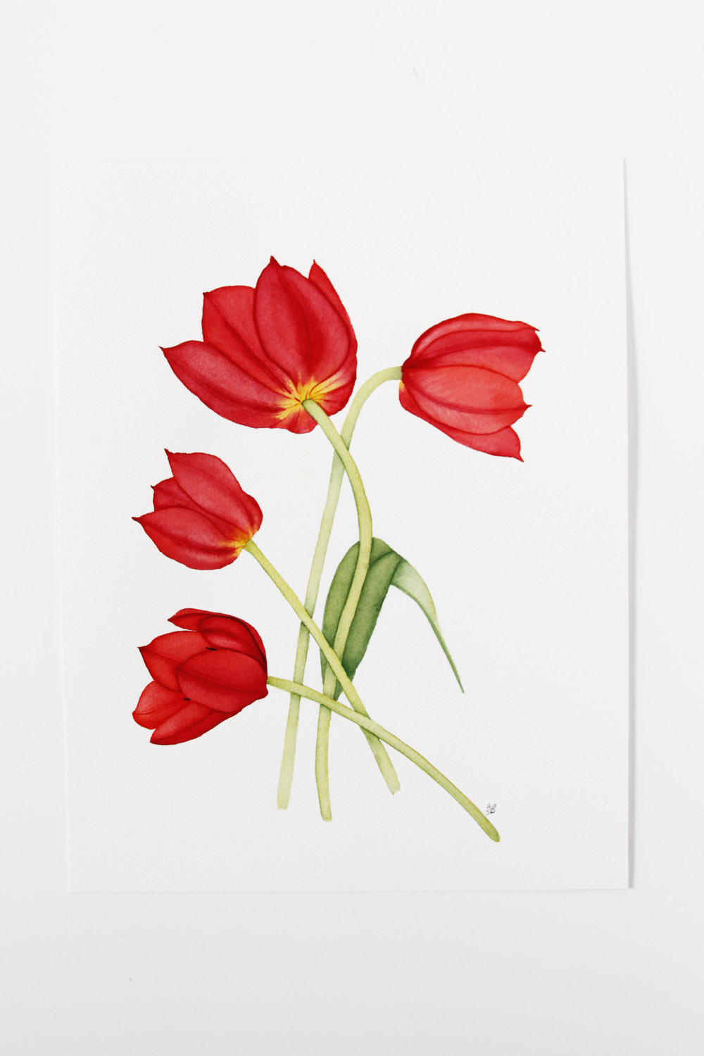 1000x1500 Red Tulips Watercolor Painting My Giant Strawberry - Red Tulip Painting