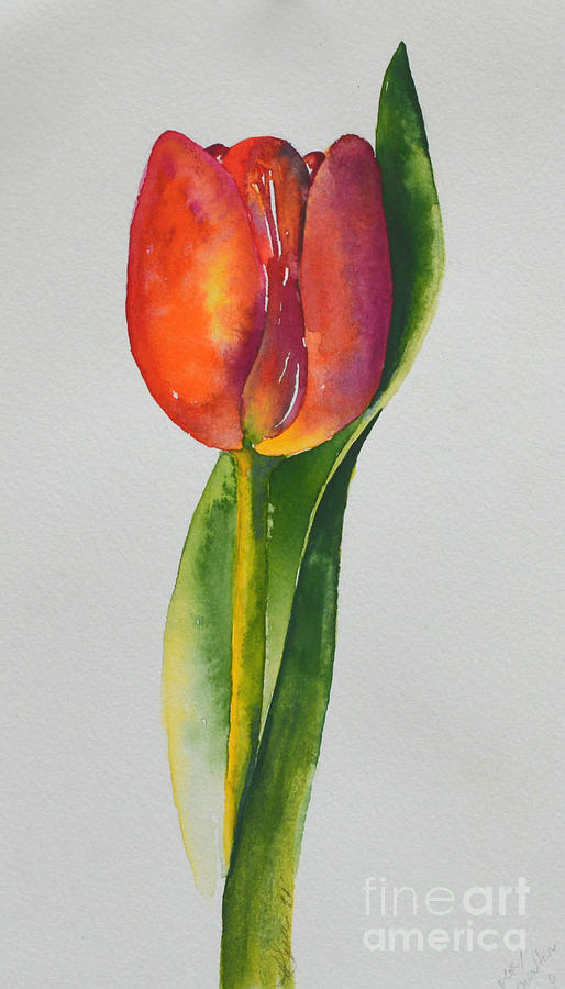 514x900 Red Tulip Painting By H Cooper - Red Tulip Painting