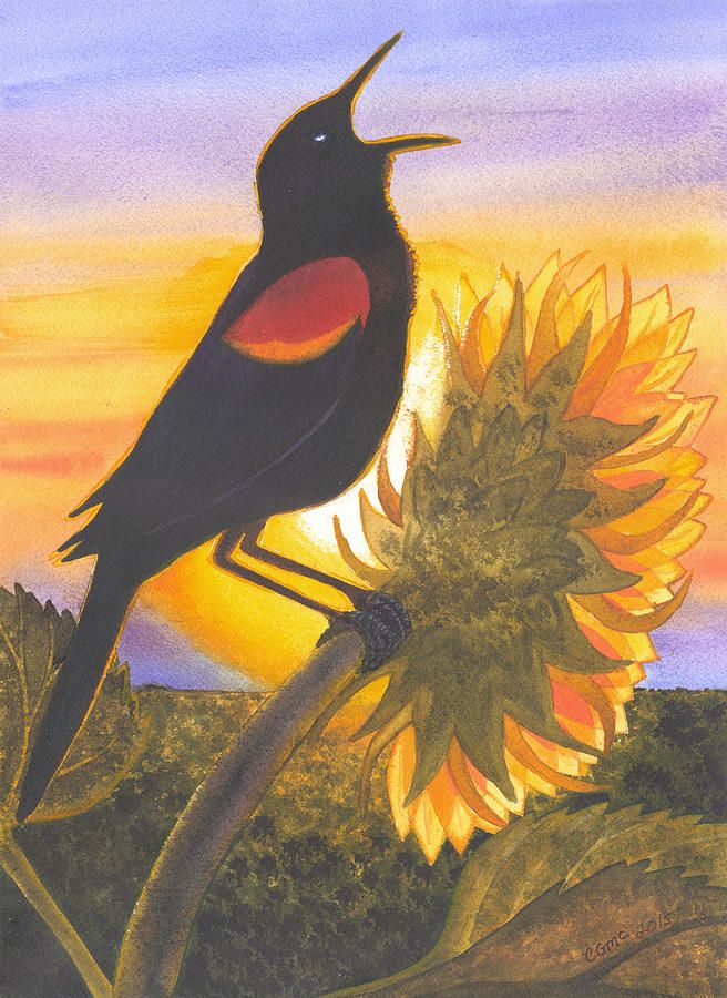 656x900 Red Wing Blackbird Painting By Catherine G Mcelroy Redwings - Red Winged Blackbird Painting