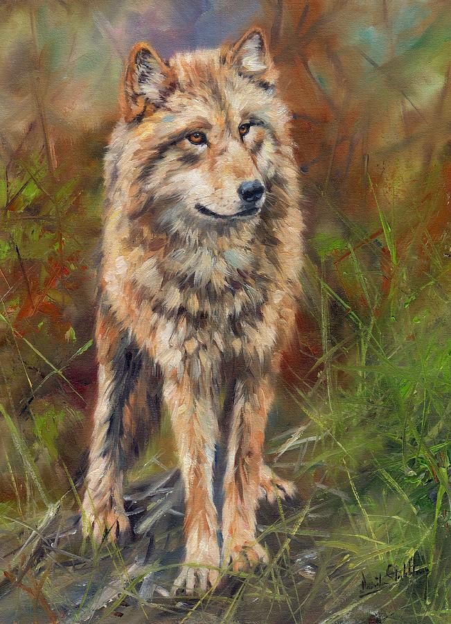 651x900 Lucie Bilodeau - Red Wolf Painting