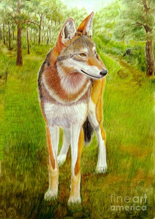 638x900 Red Wolf 2 Painting By Ruth Seal - Red Wolf Painting