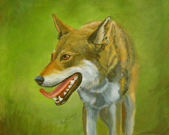 570x455 19 Best My Wolf Paintings Images On Harbor Seal, Sea - Red Wolf Painting