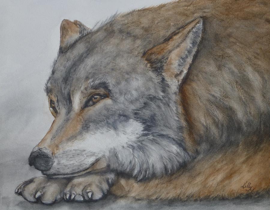 900x701 Red Wolf Painting By Kelly Mills - Red Wolf Painting