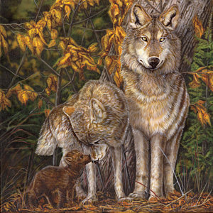 300x300 She Wolf Paintings Fine Art America - Red Wolf Painting