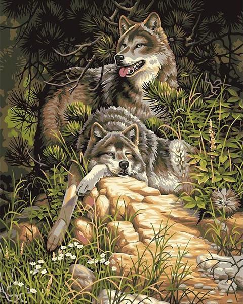 480x599 Diy Painting By Numbers - Red Wolf Painting