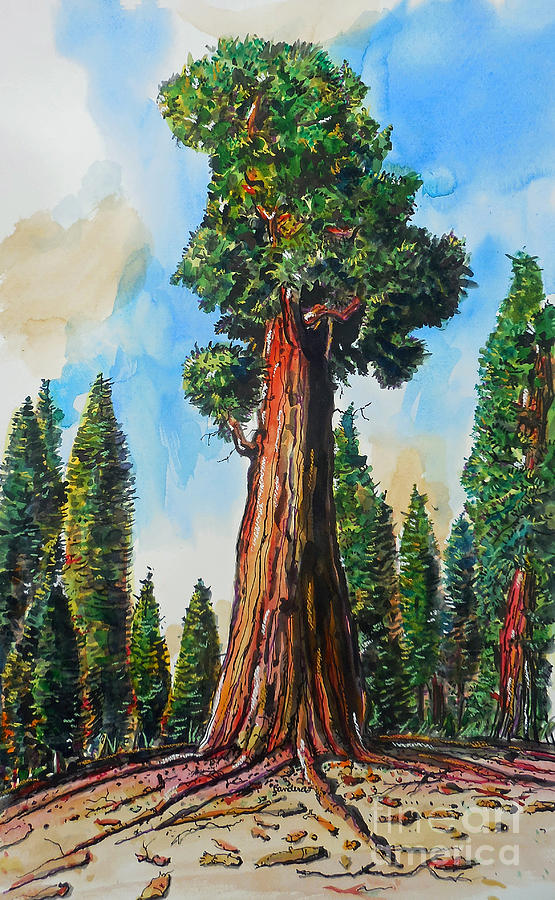555x900 Huge Redwood Tree Painting By Terry Banderas - Red Wood Painting
