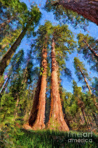 200x300 Redwood Paintings Fine Art America - Red Wood Painting