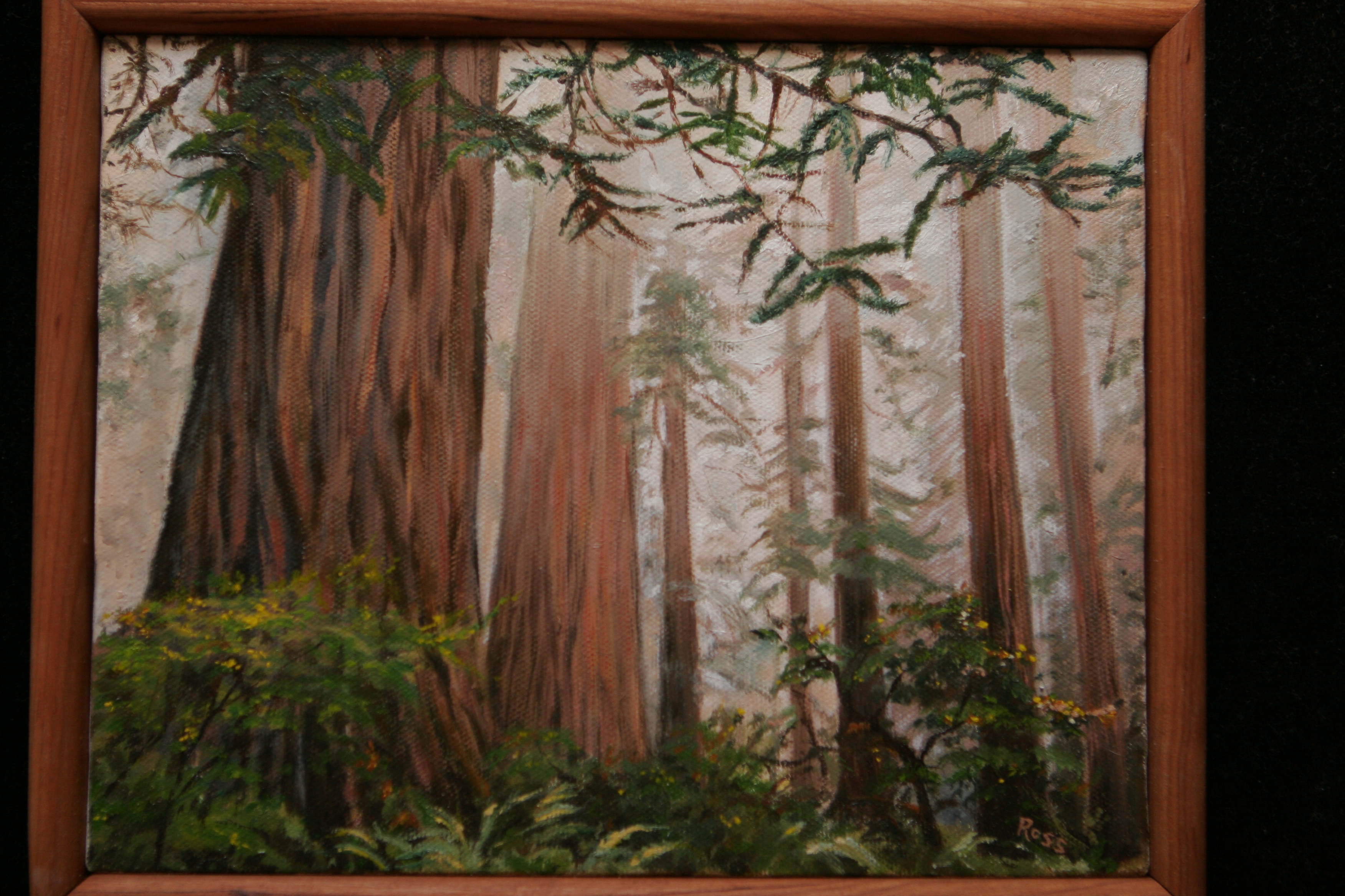 3504x2336 Cindy, Oil Painting, Redwoods, California Red Mountain Arts - Red Wood Painting