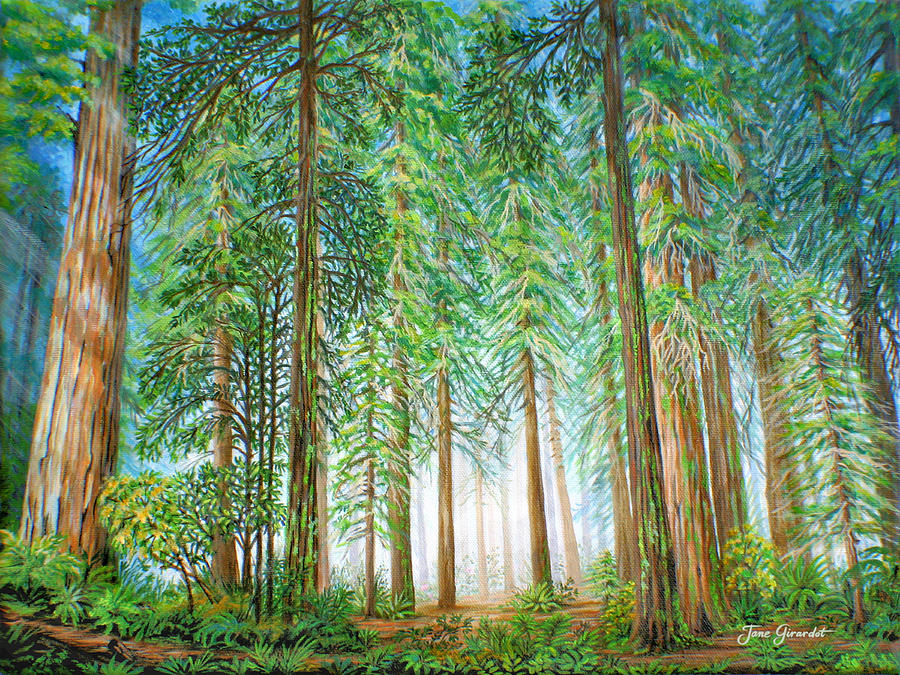 900x675 Coastal Redwoods Painting By Jane Girardot - Red Wood Painting