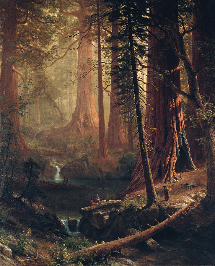 728x900 Giant Redwood Trees Of California Painting By Albert Bierstadt - Red Wood Painting