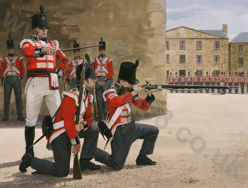 500x380 Studio 88 Limited Plate C - Redcoats Painting