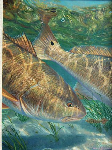 366x489 Redfish - Redfish Painting