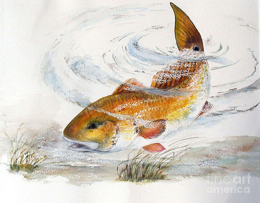 900x703 Redfish Painting By Sibby S - Redfish Painting