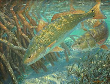 366x279 Redfish Amp Blue Crab - Redfish Painting