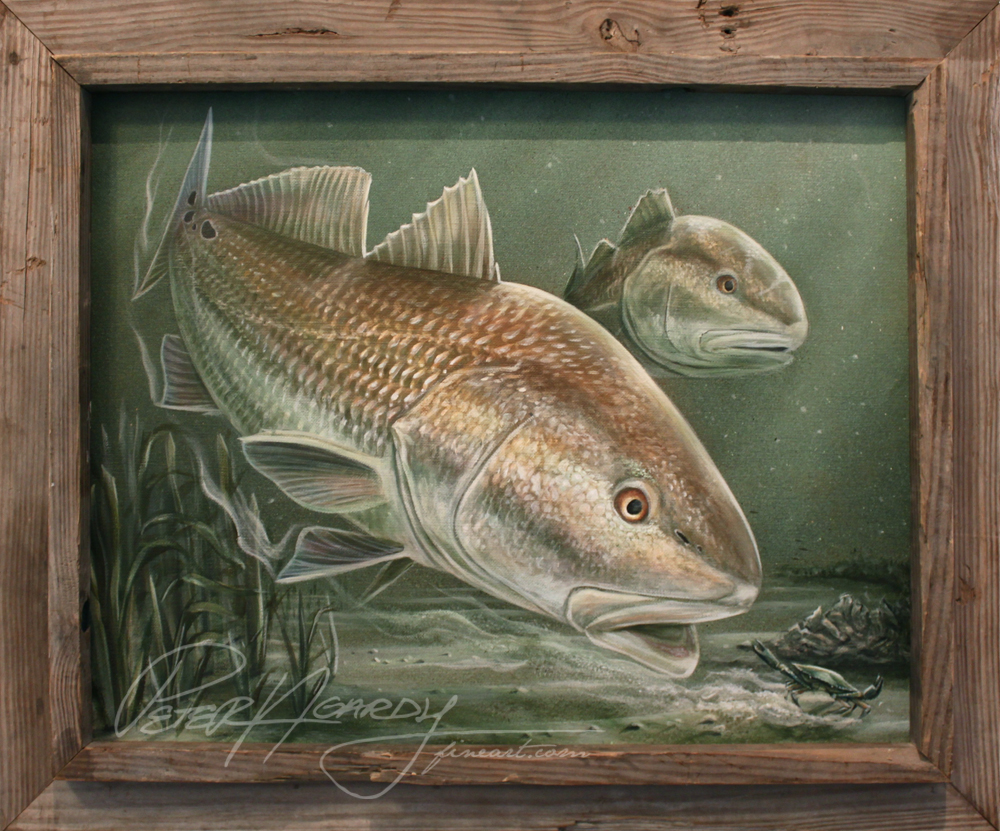 1000x831 Update New Redfish Painting - Redfish Painting
