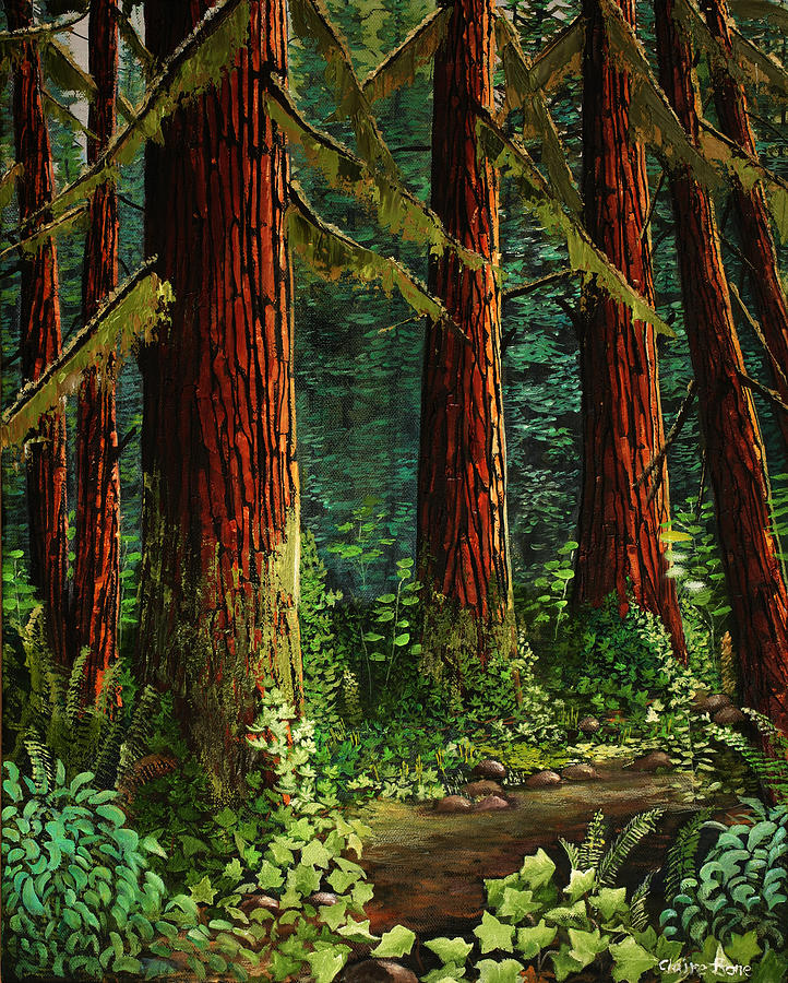 722x900 Redwood Trees Paintings - Redwood Forest Painting