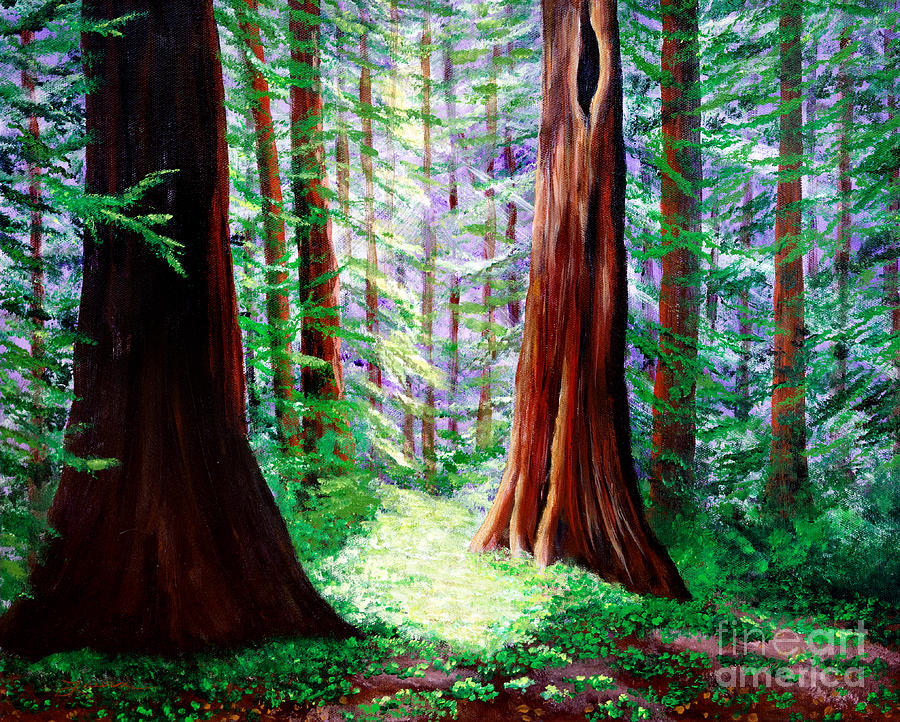 900x722 Daybreak In The Redwoods Painting By Laura Iverson - Redwood Forest Painting