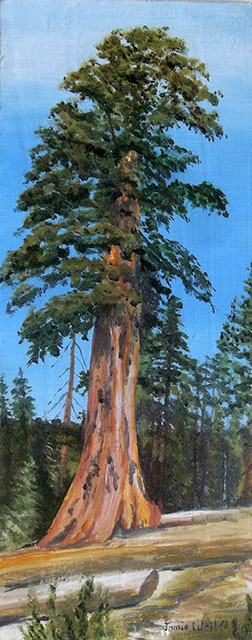 252x640 Home Page - Redwood Tree Painting