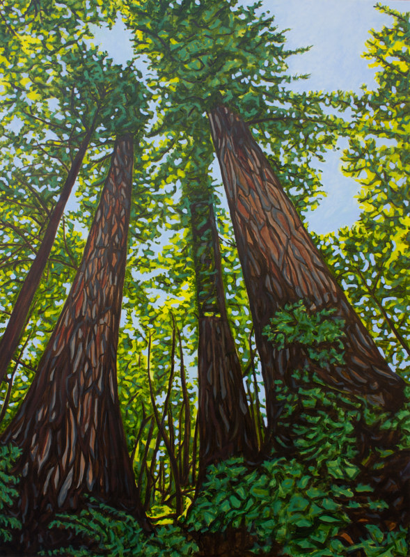 589x800 Mighty Giants - Redwood Tree Painting