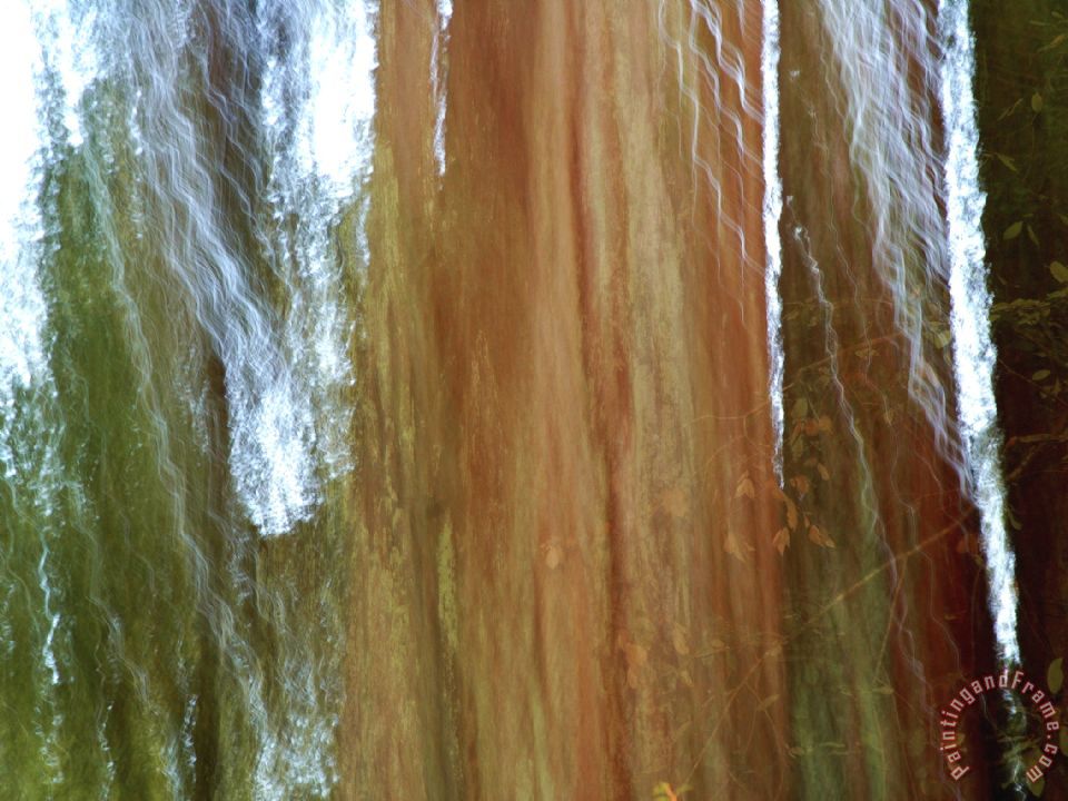 960x720 Raymond Gehman Detail Of Giant Redwood Tree Trunk And Bark - Redwood Tree Painting