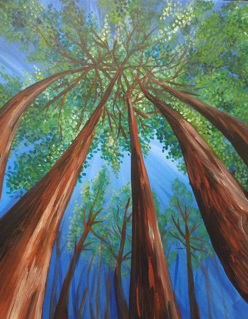 840x1080 Redwood Painting - Redwood Tree Painting