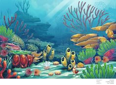 236x172 Colorful Coral Reef Found Near The Surface Of The Ocean Is Common - Reef Painting