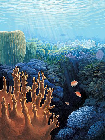 366x489 Coral Reef - Reef Painting