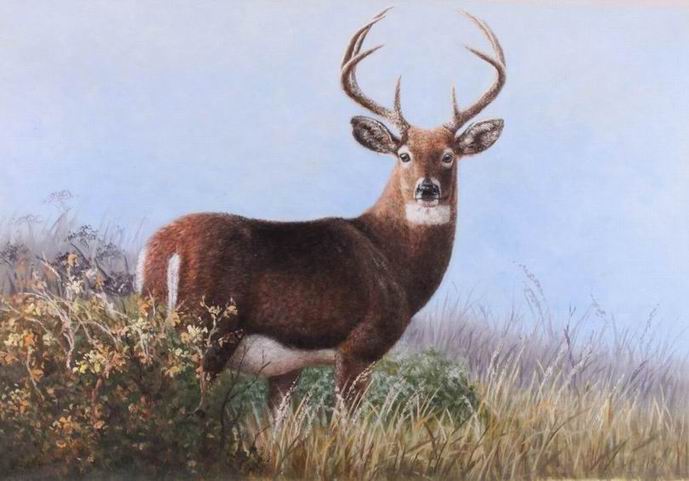 689x481 Reindeer Oil Painting 24x36 Id2719 - Reindeer Painting