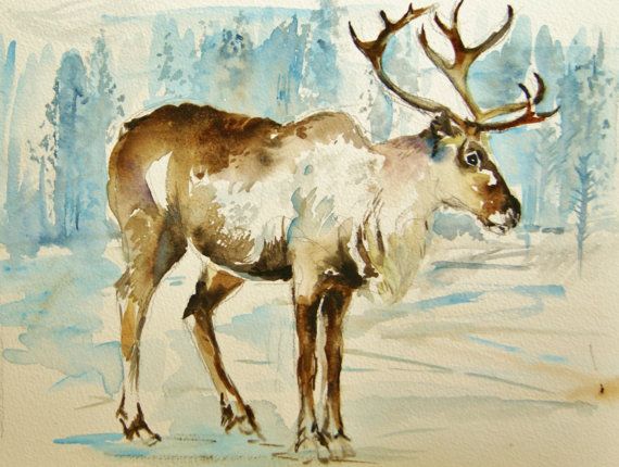 570x430 Reindeer Painting Original Watercolor By Rachelstockham On Etsy 10 - Reindeer Painting