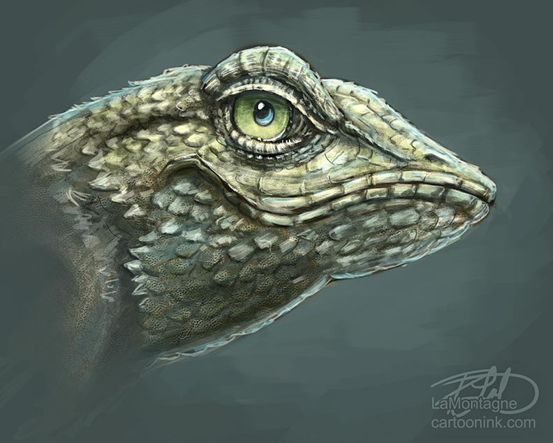 792x634 Lizard Sketch In Painter 12 - Reptile Painting
