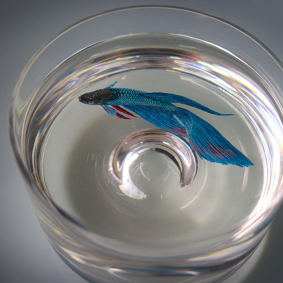 915x915 Hyper Realistic 3d Paintings Made With Acrylics In Layers Of Resin - Resin Painting
