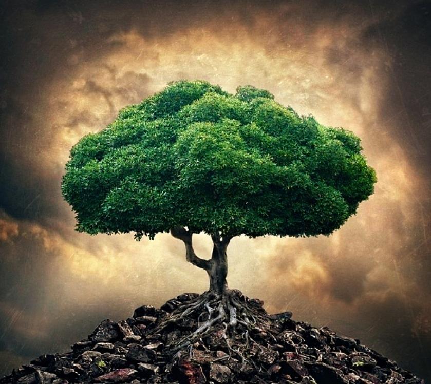 839x748 Respect Painting By Norp Company - Respect Painting