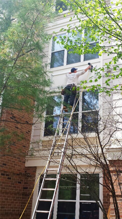 250x450 Worldgate Siding Repair - Reston Painting