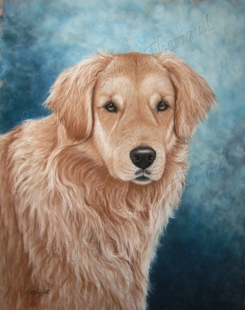 500x632 Golden Retriever Dog Portrait Painting In Pastel Commissioned - Retriever Painting