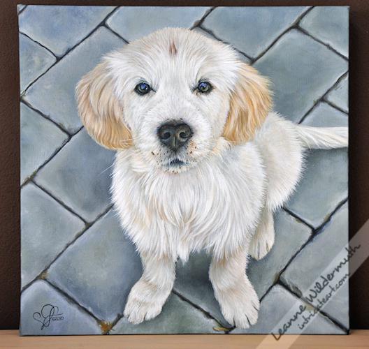 528x500 Golden Retriever Painting Custom Dog Portrait Of Max Puppy By - Retriever Painting