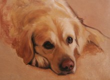 220x159 Golden Retriever Painting By Hazel Morgan - Retriever Painting