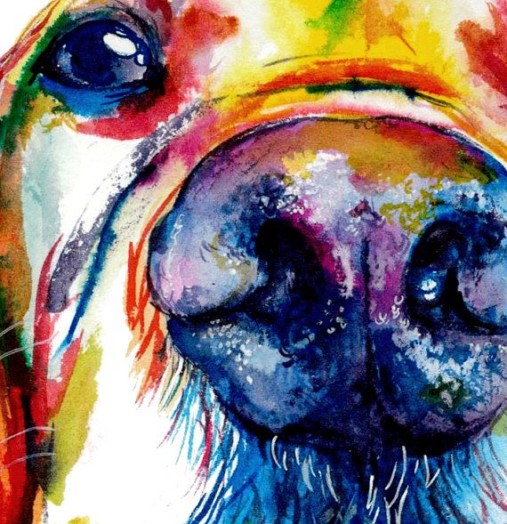 570x589 Colorful Golden Retriever Art Print - Retriever Painting