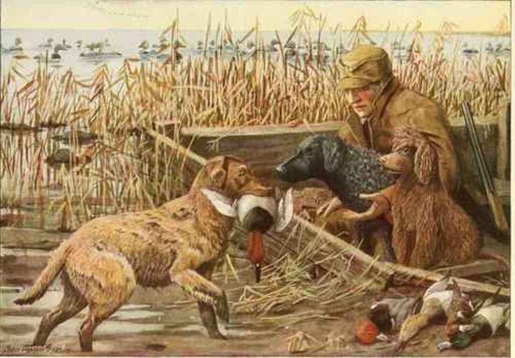 1024x713 Famous Retriever Painting Natural History - Retriever Painting