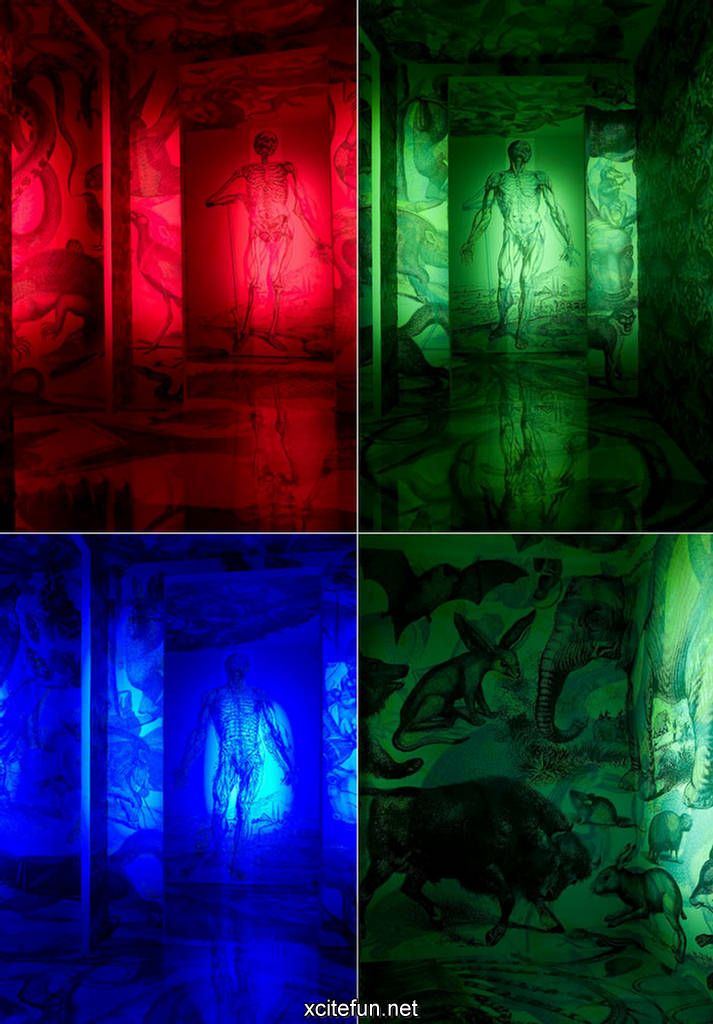 713x1024 Different Color Lights Rgb On Art Painting Light Art Color - Rgb Painting
