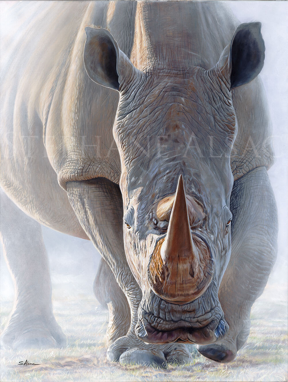 1000x1324 Dust Rage - Rhino Painting