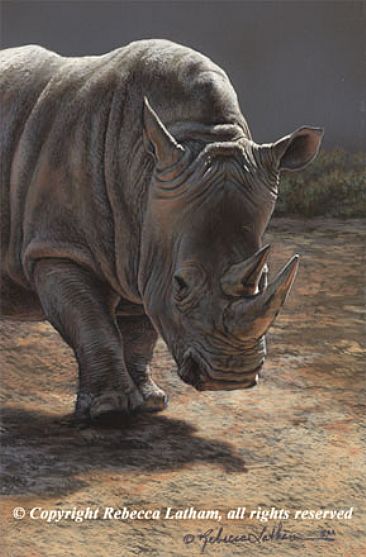 366x557 Rhino - Rhino Painting