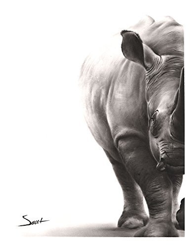 393x500 African White Rhino Dry Brush Oil Painting Print Handmade - Rhino Painting