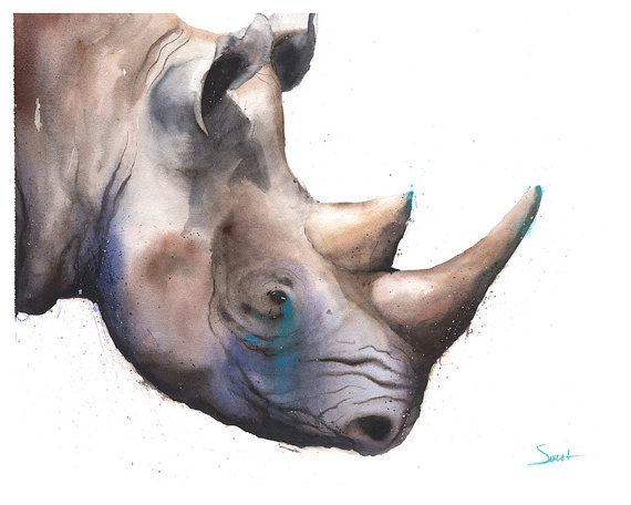 570x456 Watercolor Rhino Print Rhino Artwork Rhino Painting Rhino - Rhino Painting