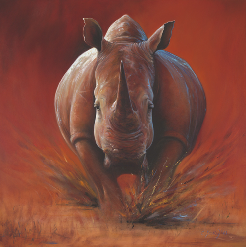 497x500 Rhino Painting Carrie Dudley - Rhino Painting