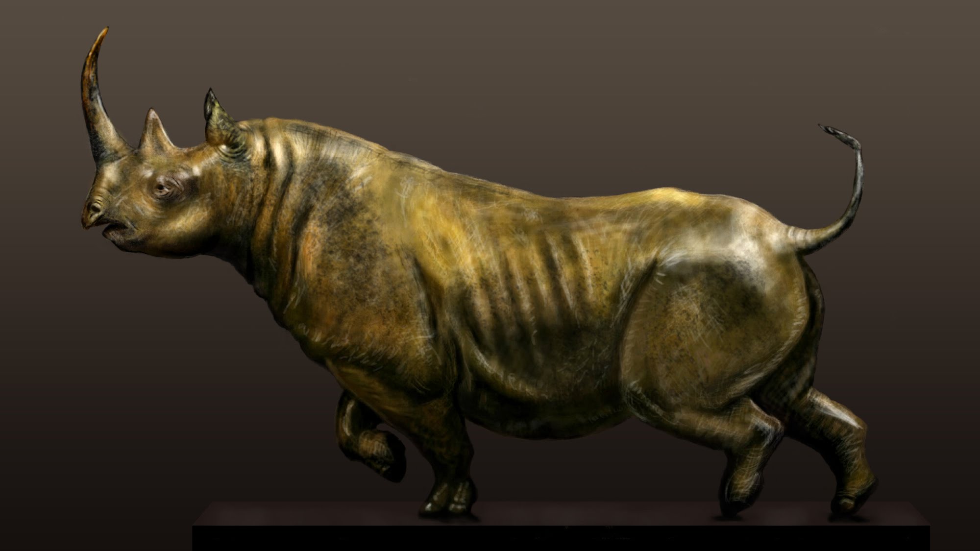 2000x1125 Black Rhino Speed Painting - Rhino Painting