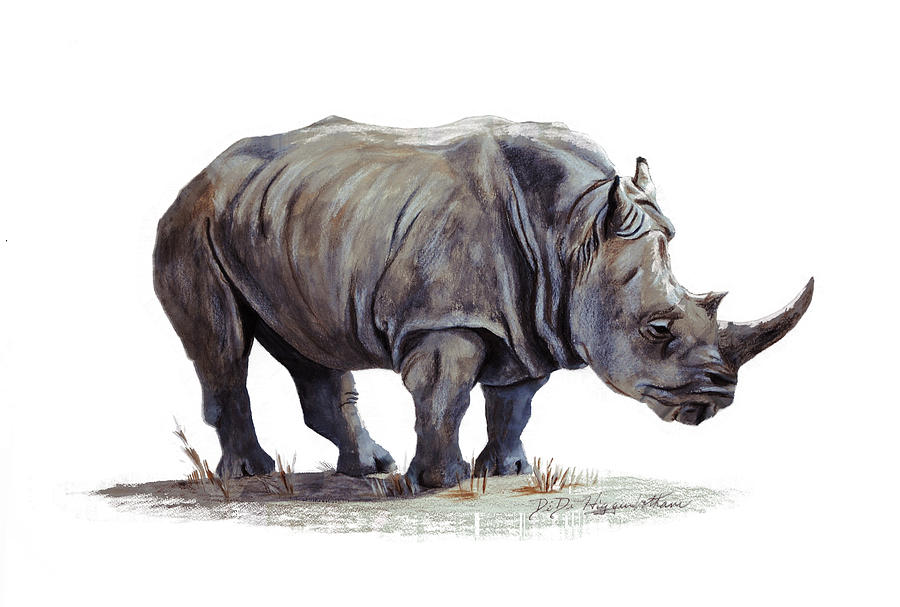 900x607 Black Rhinoceros Painting By Didi Higginbotham - Rhino Painting