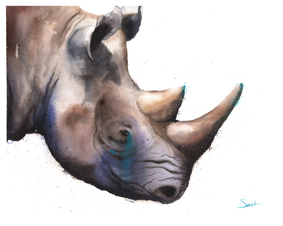 900x720 Rhino Watercolor Print Watercolor Animal Paintings - Rhinoceros Painting