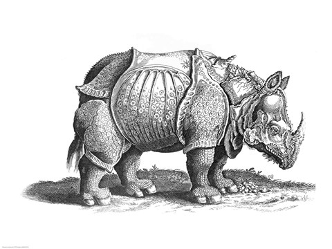 480x360 Rhinoceros Painting By Albrecht Durer - Rhinoceros Painting