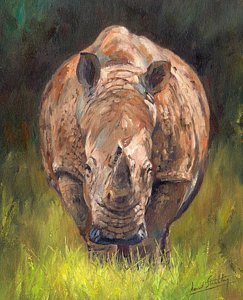 243x300 Rhinoceros Paintings Fine Art America - Rhinoceros Painting
